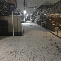 雪が積もりました